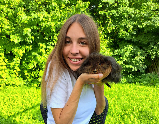 Kaip pripratinti jūrų kiaulytę prie rankų